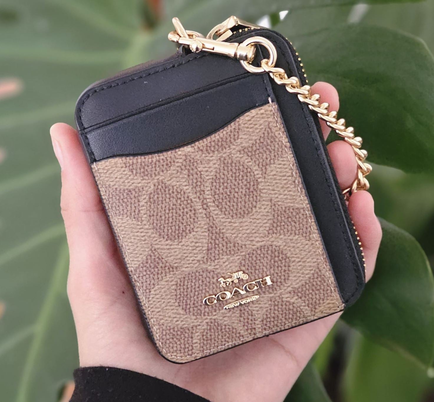 Zip card case canvas cafe