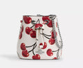 Wristlet bucket  coach cherry