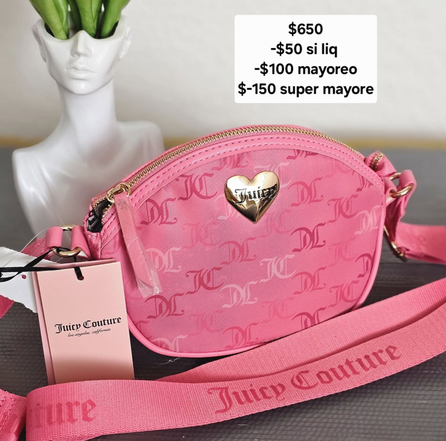 juicy rosa  crossbody 1
