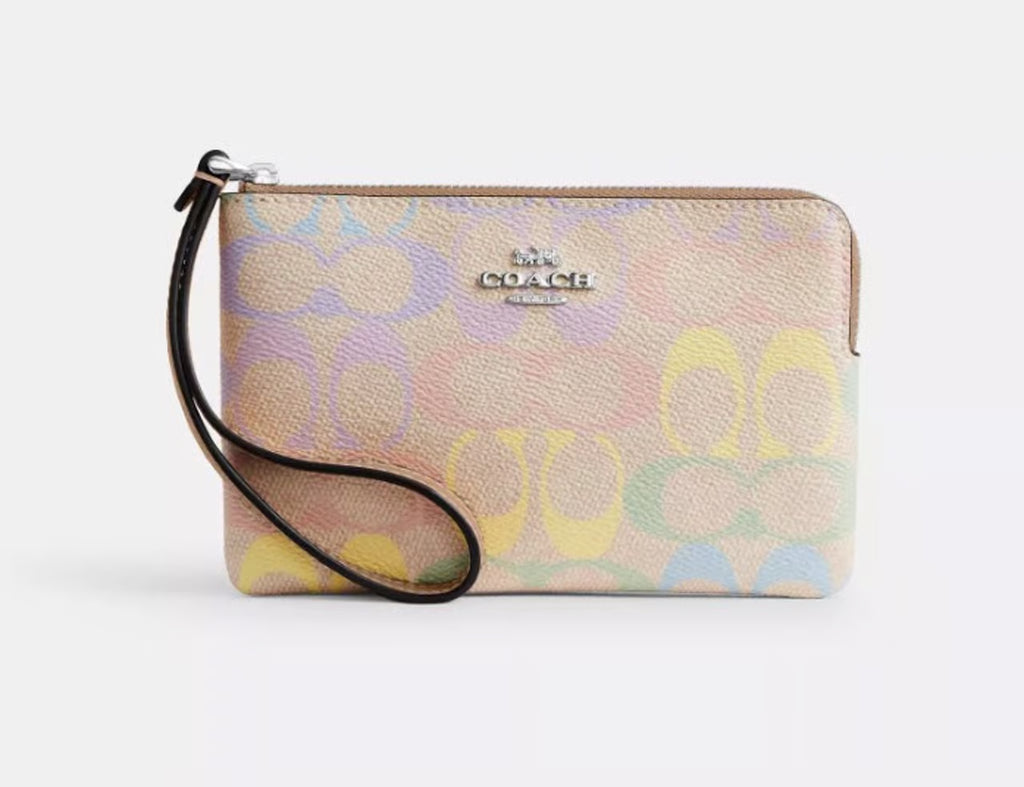 Corner Zip Wristlet arcoiris