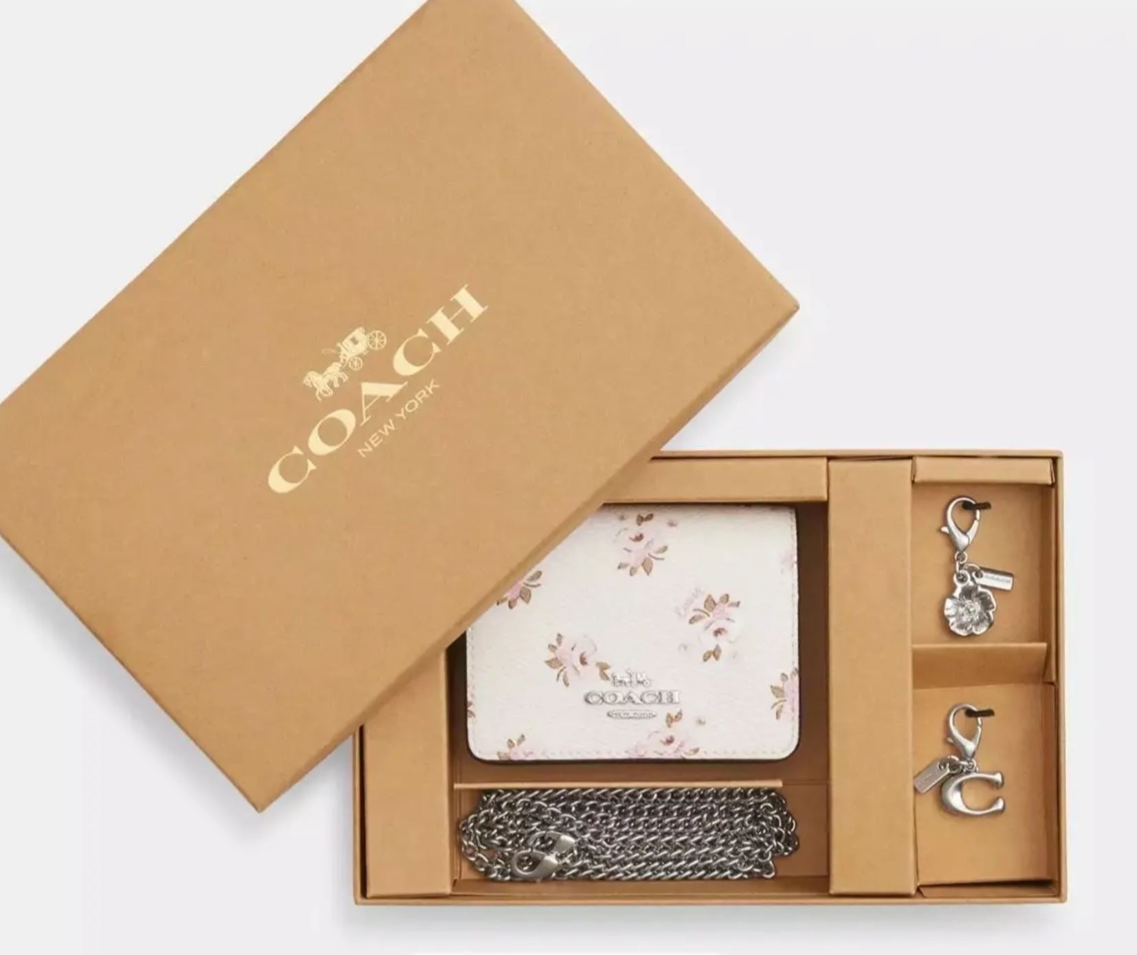 Coach Women's Boxed Mini Wallet On A Chain With Floral Print Silver/Chalk Multi